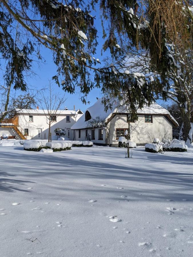 Apartament Neuenkirchen Moritzhagen Zewnętrze zdjęcie