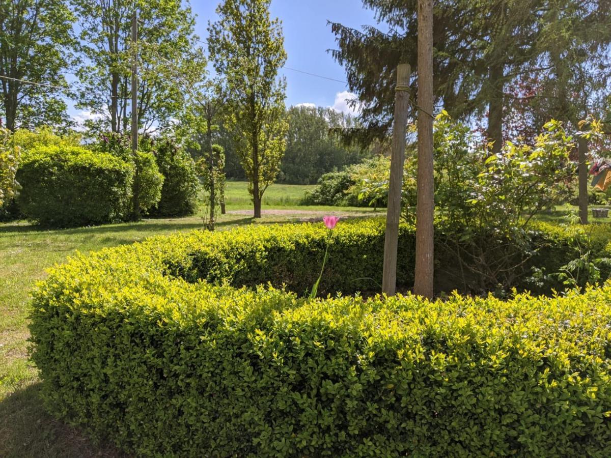 Apartament Neuenkirchen Moritzhagen Zewnętrze zdjęcie